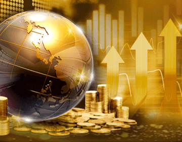 Sky Exchange ID
